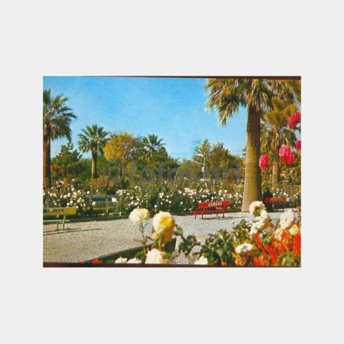Balıkesir Edremit Park Kartpostal
