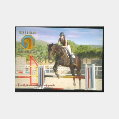 Bodrum Turgutreis Binicilik Kartpostal