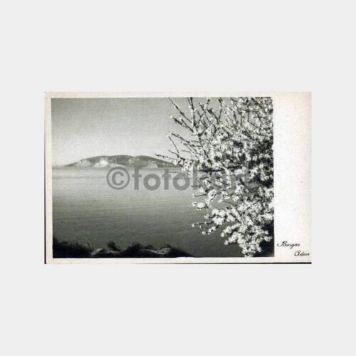 Burgazada Kartpostal