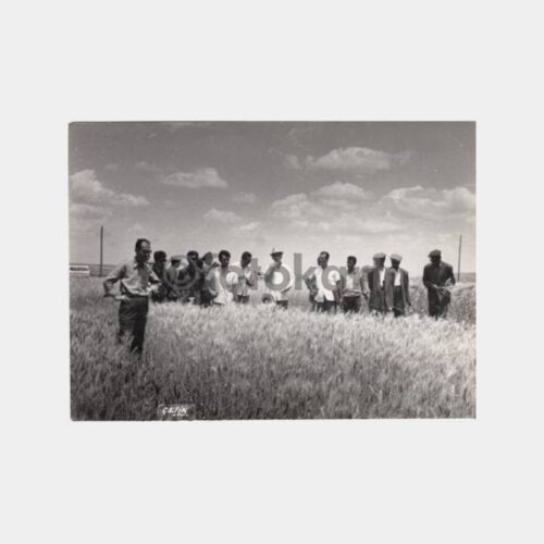 1968 Diyarbakır Tarla Günü Konulu 3 Adet Fotoğraf - Görsel 2