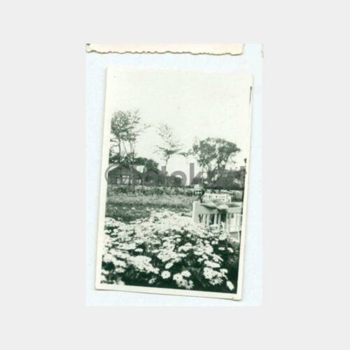 1940 Yalova Park Kadın Görünüş Fotoğraf