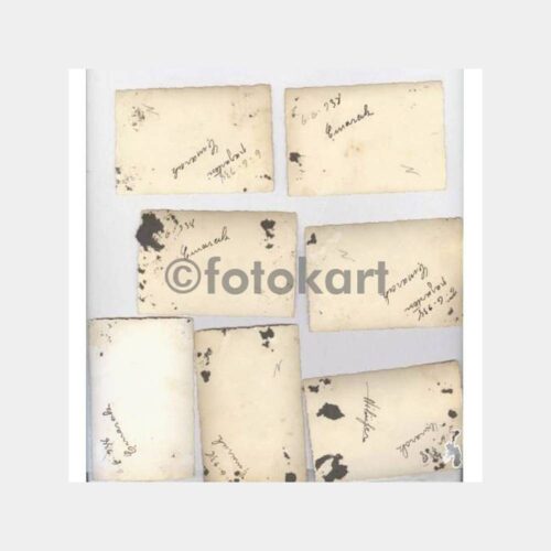 1938 Yalova Çınarcık Albüm 8 Adet Fotoğraf - Görsel 2