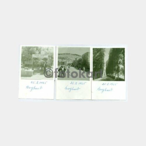 1965 Bayburt 3 Adet Albüm Fotoğraf