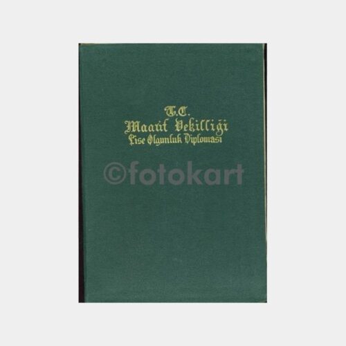 1954 Konya Lisesi Diploması - Görsel 2