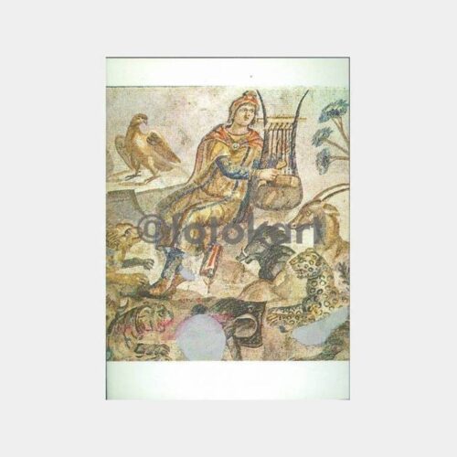 Hatay Müzesi Tarsus Mozaik Konulu Kartpostal