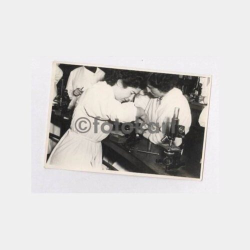 Mikrobiyoloji Tıp Konulu Fotoğraf