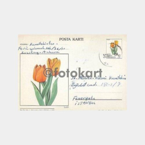 1983 Lale Resimli Ankara Damgalı Antiye