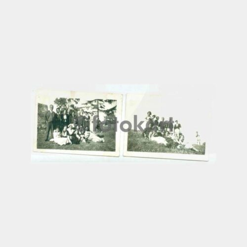 1935 Beykoz Anadoluhisarı Kavacık Çiftliği 4 Adet Fotoğraf - Görsel 2