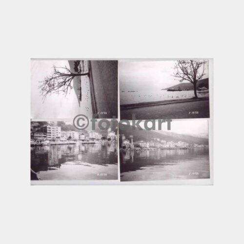 Çınarcık Esenköy Konulu Fotoğraflar