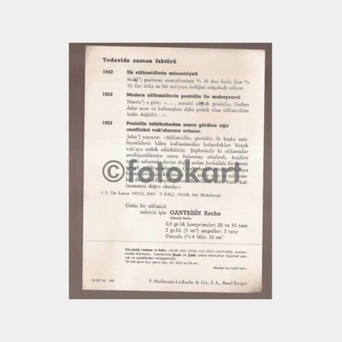 Roche Seramik Vazo Tablo İlaç Broşürü - Görsel 2