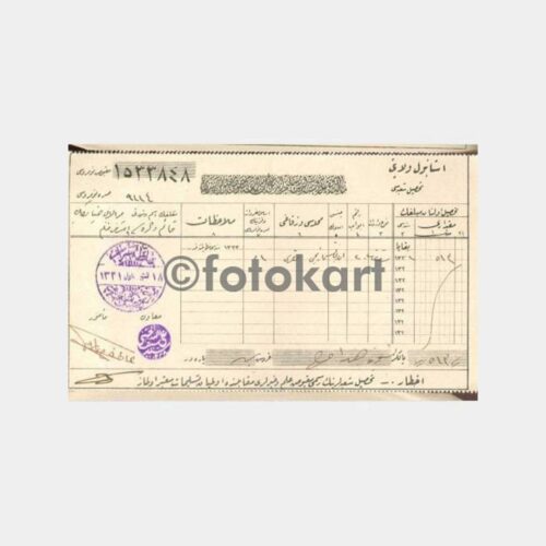 1925 Osmanlıca Vergi Makbuzu