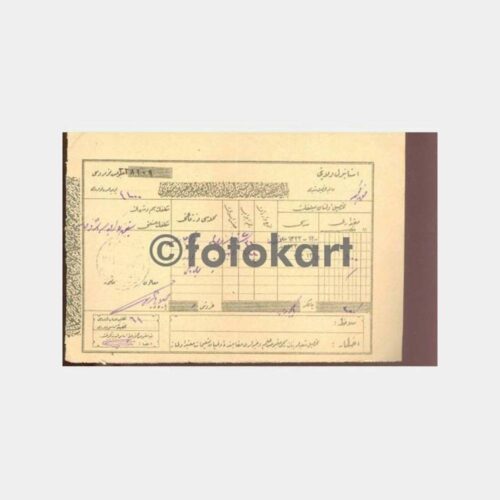 1925 Osmanlıca Vergi Makbuzu