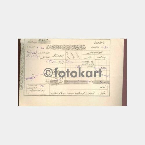 1925 Osmanlıca Vergi Makbuzu