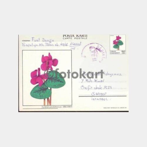 1983 Siklamen Çiçek Konulu Posta Kartı