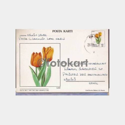 1983 Lale Desenli Fatih Damgalı Posta Kartı