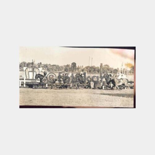 1971 Gazi Koşusu Eliyeşil Ailesi Atı Minimo Fotoğraf