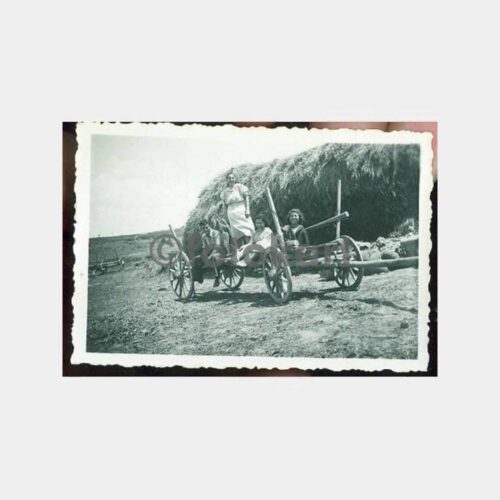1940 Çiftlik Hayatı Görünüş Aile Fotoğraf