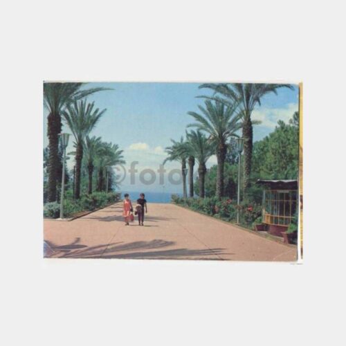 Antalya Parktan Bir Görünüş Kartpostal