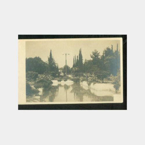1958 Antalya Park Görünüş Kartpostal