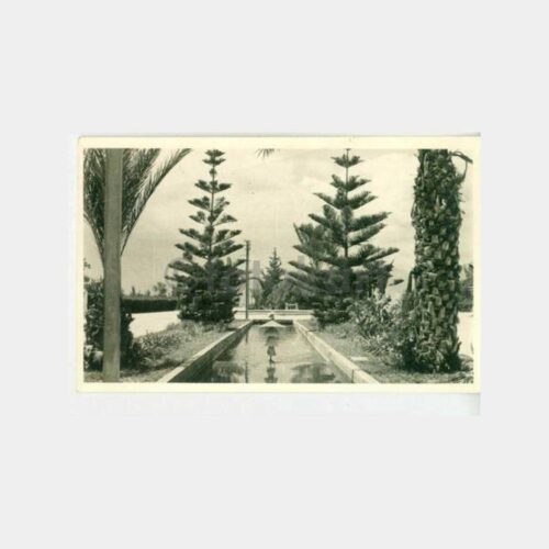 1954 Antalya Park Havuz Görünüş Kartpostal