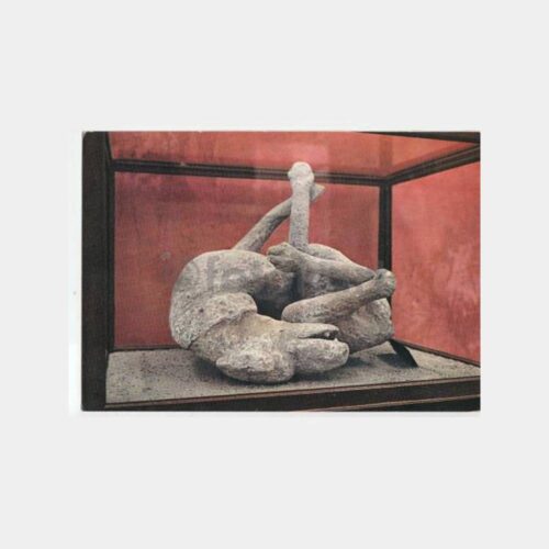 1984 İtalya Pompei Müzesinden Görünüş Kartpostal