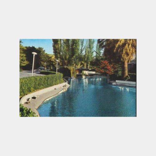 İzmir Kültürpark Kuğulu Havuz Kartpostal