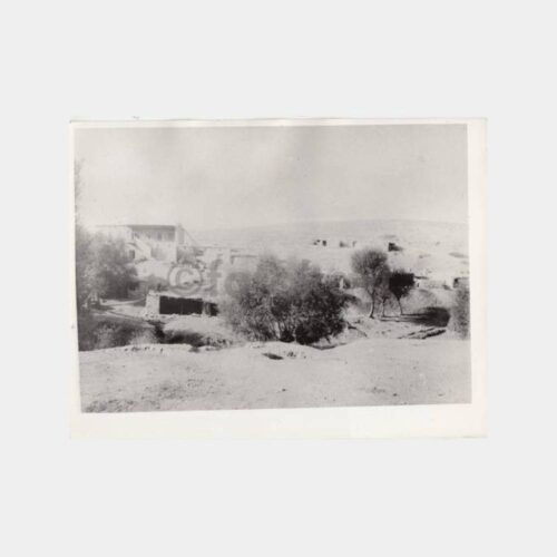 1920 Malatya Sultan Çiftliği Konulu Fotoğraf