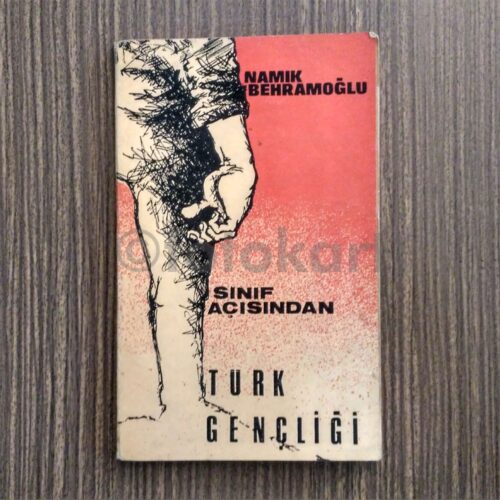Sınıf Açısından Türk Gençliği - Namık Behramoğlu