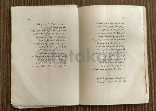 Safahat Hakkın Sesleri - Mehmed Akif - Görsel 2