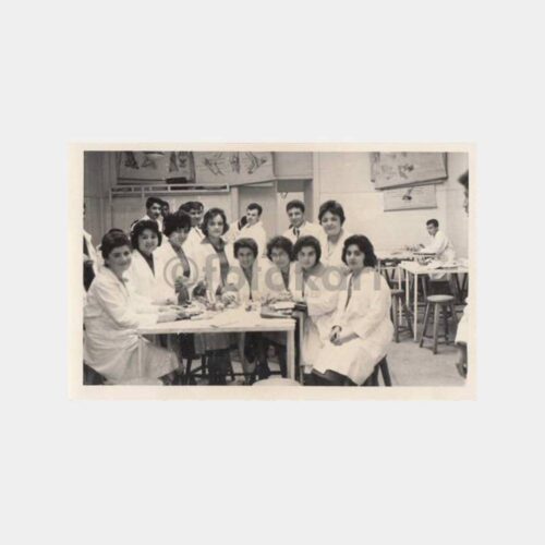 1961 Ankara Üniversitesi Fen Fakültesi Grup 3 Adet Fotoğraf - Görsel 2