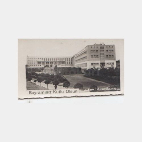 1955 Ankara Ziraat Enstitüsü Görünüş Tebrik Fotoğraf