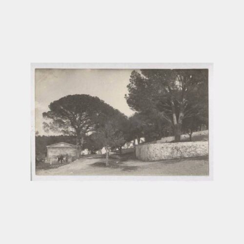 1930 Ayvalık Çamlık Görünüş Nadir Fotokart