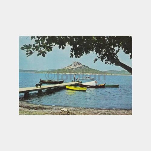 1970 Ayvalık Çamlık Sahili Görünüş Kartpostal