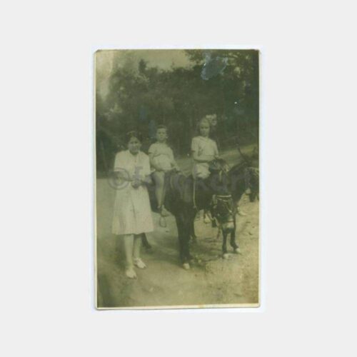 1938 Büyükada Eşekli Gezi Görünüş Fotoğraf