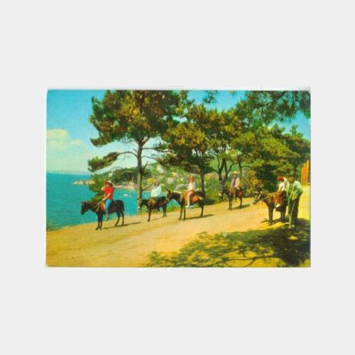 1968 Büyükada Eşekli Gezi Görünüş Kartpostal