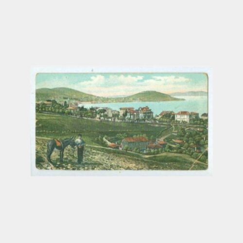 1907 Büyükada Görünüş Kartpostal