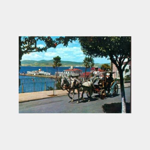 1968 Büyükada Fayton Görünüş Kartpostal