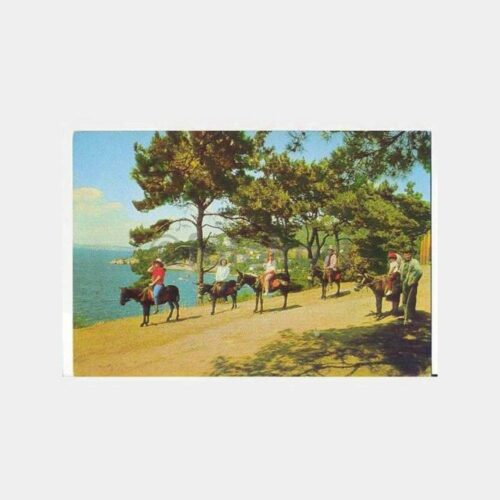 Büyükada Değirmen Koyu Görünüş Kartpostal