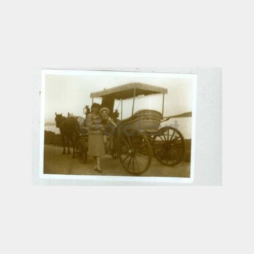 1930 Büyükada Aile 5 Adet Albüm Fotoğrafı - Görsel 4