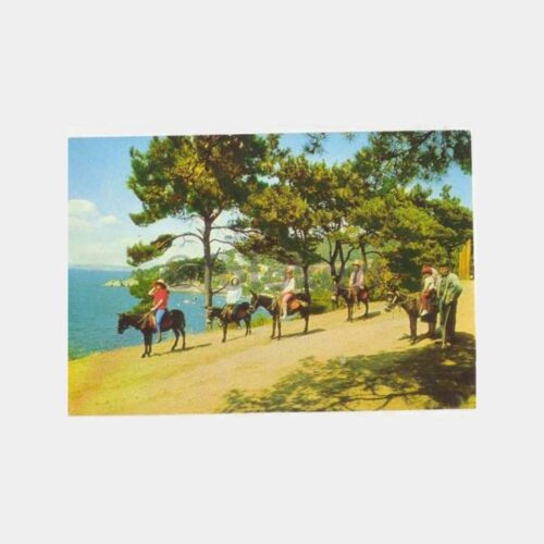 Büyükada Eşekli Gezi Görünüş Kartpostal