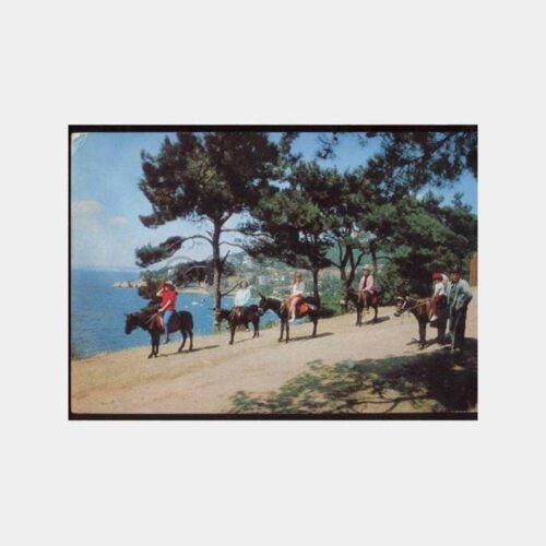 Büyükada Eşekli Gezi Konulu Kartpostal
