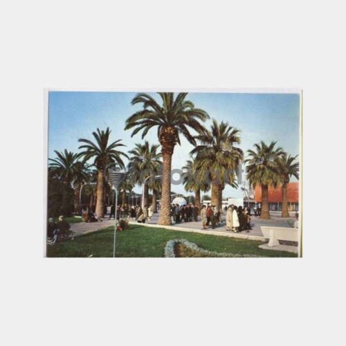 İzmir Kültürpark Palmiyeler Görünüş Kartpostal