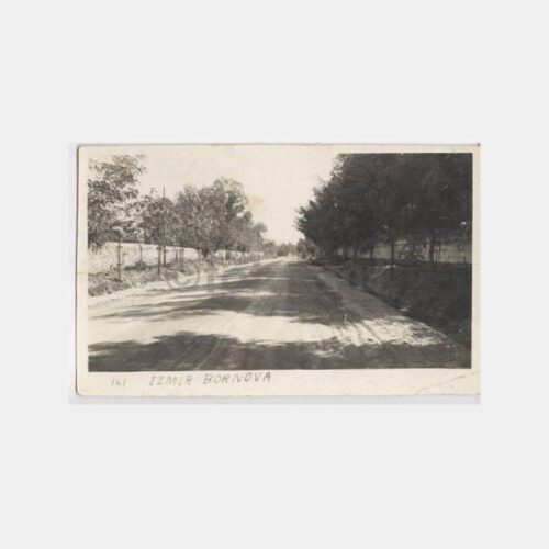 1930 İzmir Bornova Yolu Görünüş Kartpostal