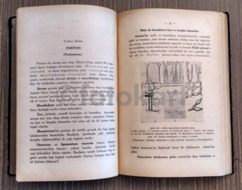 Histoloji Ders Kitabı, 1936 - Dr. Edip Tümerkan - Görsel 2
