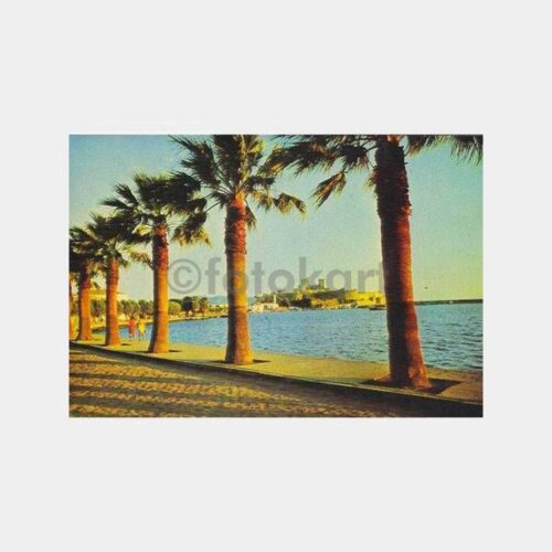 Bodrum Kale ve Liman Görünüş Kartpostal