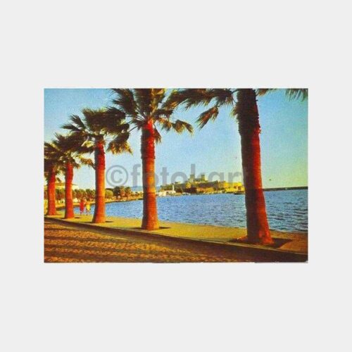 Bodrum Sahil ve Palmiyeler Kartpostal