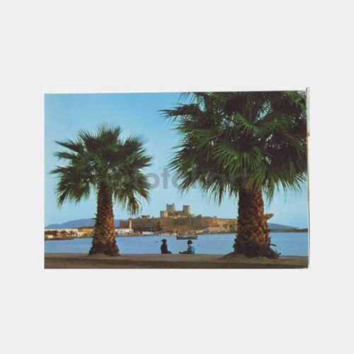 Bodrum Kalesi ve Palmiyeler Görünüş Kartpostal
