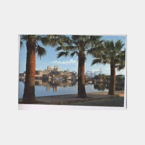 Bodrum Kalesi ve Palmiyeler Kartpostal