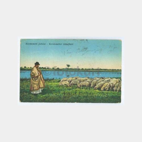 1917 Osmanlı Damga Avusturya Sansür Kaşeli Kartpostal