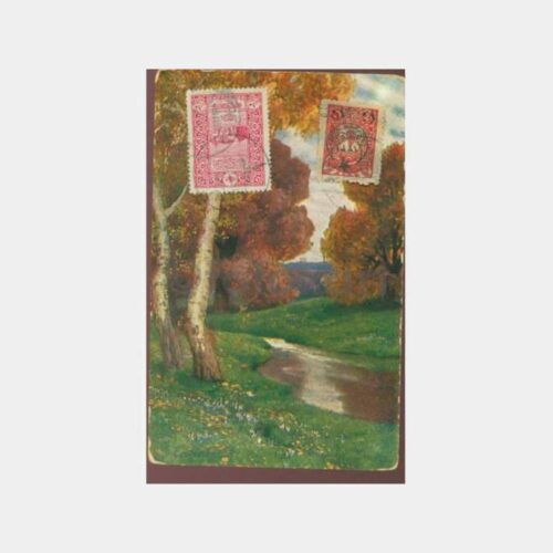1911 Osmanlı Damgalı Natürmort Tablo Kartpostal